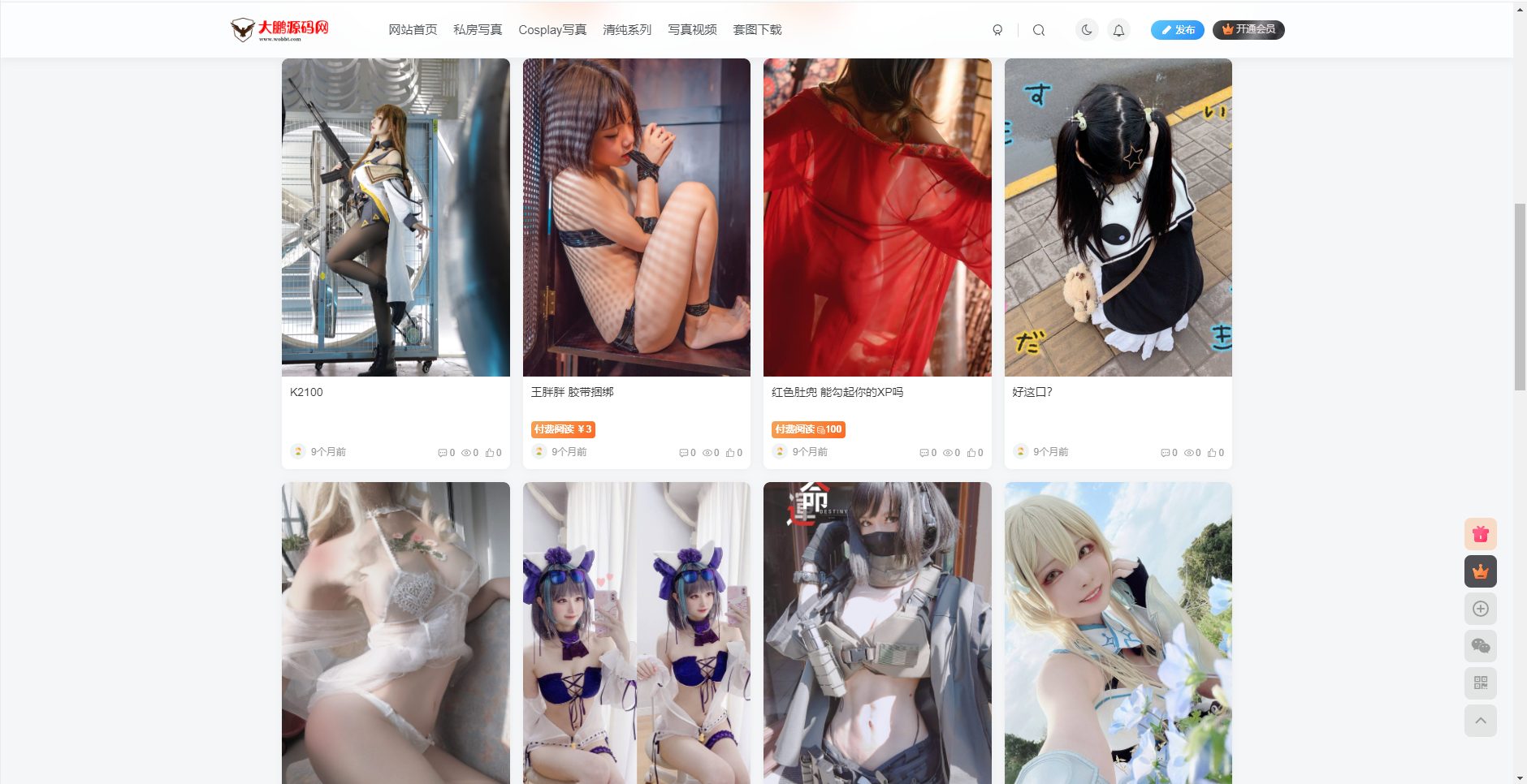 整站WordPress自适应美女写真网站美图整站带数据源码大鹏亲测-大鹏研码网