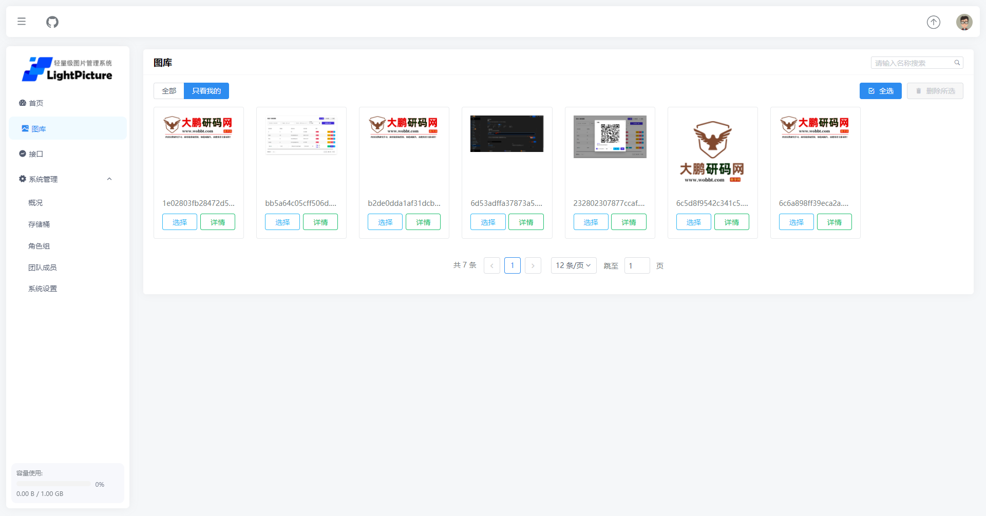 LightPicture图床系统轻量图片资源管理系统-大鹏研码网